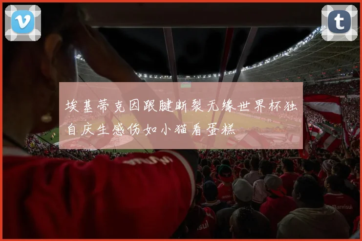 埃基蒂克因跟腱断裂无缘世界杯独自庆生感伤如小猫看蛋糕