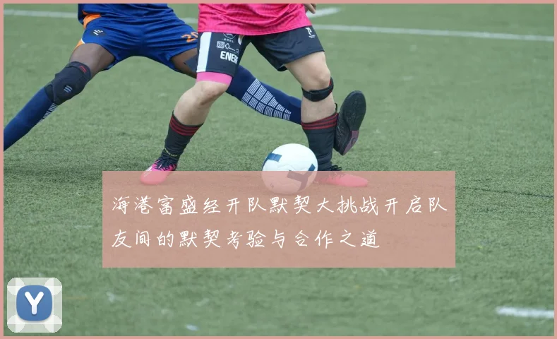 海港富盛经开队默契大挑战开启队友间的默契考验与合作之道