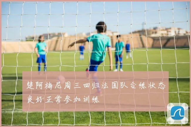 楚阿梅尼周三回归法国队合练状态良好正常参加训练